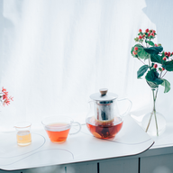 HARIO TPC-45HSV / TPC-70HSV Tea Pitcher 450/700ml glass 
