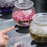 HARIO TDR-80B Tea Dripper "Largo" 800ml flowers brewing tea herbs pink purple green